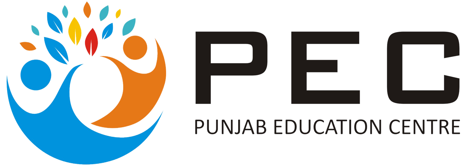 PEC Chandigarh Recruitment 2024 for JRF Post, Apply Now